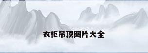 衣柜吊顶图片大全