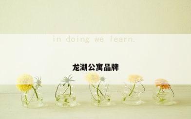龙湖公寓品牌