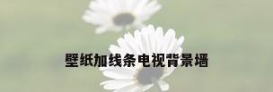 壁纸加线条电视背景墙
