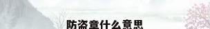防盗章什么意思