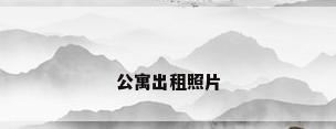 公寓出租照片