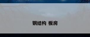 钢结构 板房