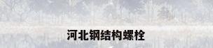 河北钢结构螺栓