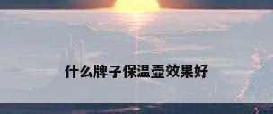 什么牌子保温壶效果好