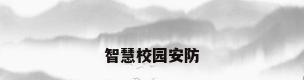 智慧校园安防