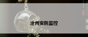 沧州安防监控