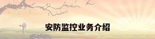 安防监控业务介绍