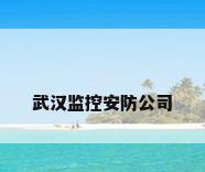 武汉监控安防公司