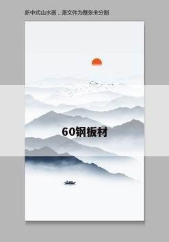 60钢板材