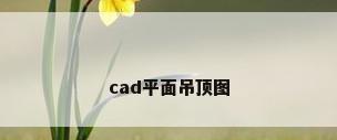 cad平面吊顶图