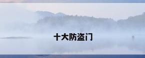 十大防盗门