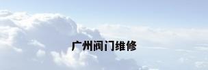 广州阀门维修