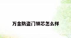 万金防盗门锁芯怎么样