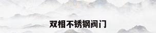 双相不锈钢阀门