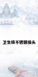 卫生级不锈钢接头