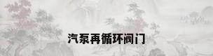 汽泵再循环阀门