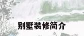别墅装修简介