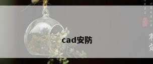 cad安防