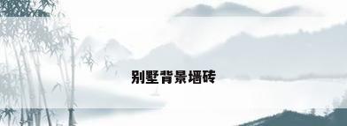 别墅背景墙砖