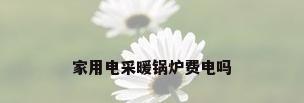 家用电采暖锅炉费电吗