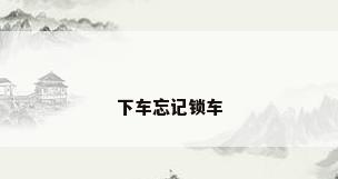 下车忘记锁车