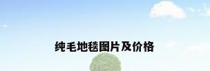 纯毛地毯图片及价格