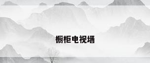 橱柜电视墙