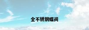 全不锈钢蝶阀