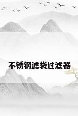 不锈钢滤袋过滤器