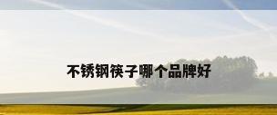 不锈钢筷子哪个品牌好