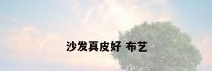 沙发真皮好 布艺