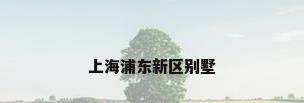 上海浦东新区别墅