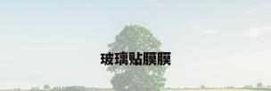玻璃贴膜膜