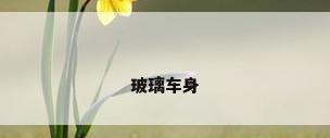 玻璃车身