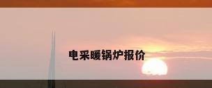 电采暖锅炉报价