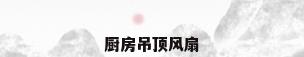 厨房吊顶风扇