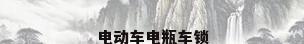 电动车电瓶车锁