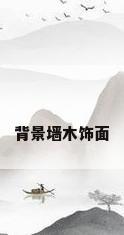 背景墙木饰面