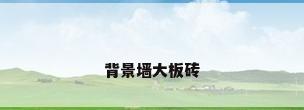 背景墙大板砖