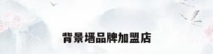 背景墙品牌加盟店