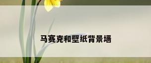 马赛克和壁纸背景墙