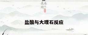 盐酸与大理石反应
