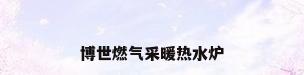 博世燃气采暖热水炉