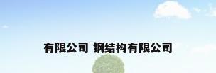 有限公司 钢结构有限公司