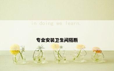 专业安装卫生间隔断