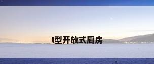 l型开放式厨房