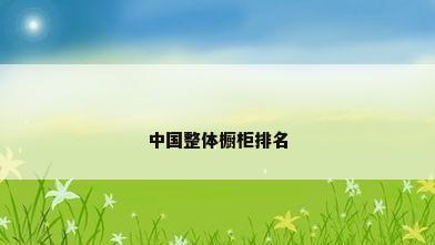 中国整体橱柜排名