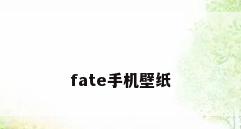 fate手机壁纸