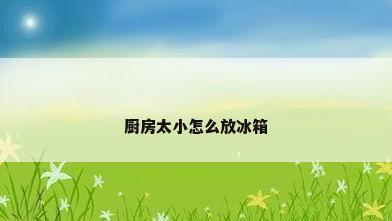 厨房太小怎么放冰箱
