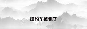 捷豹车被锁了